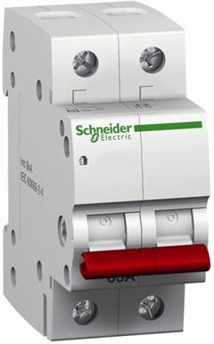 Main Switch Schneider 2P 63 Amp-Eurotech NZ