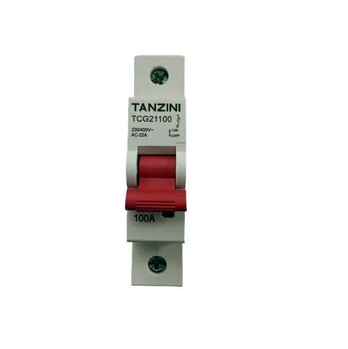 Main Switch Tanzini 100 Amp 1P-Eurotech NZ