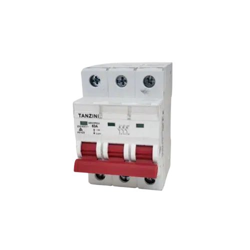 Main Switch Tanzini 63 Amp 3P-Eurotech NZ