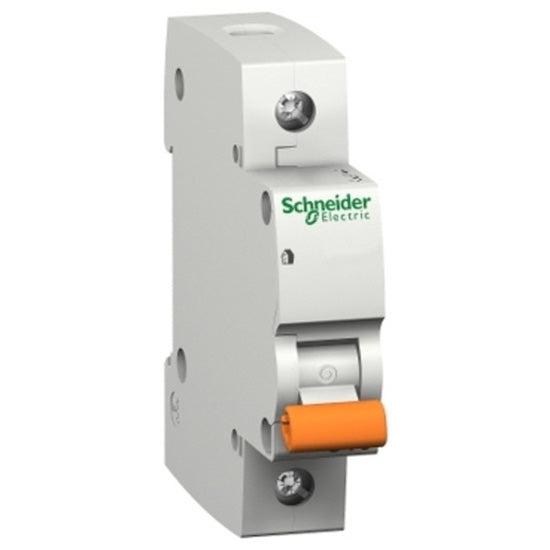 MCB Schneider 6-40 Amp 1P Domestic-Eurotech NZ